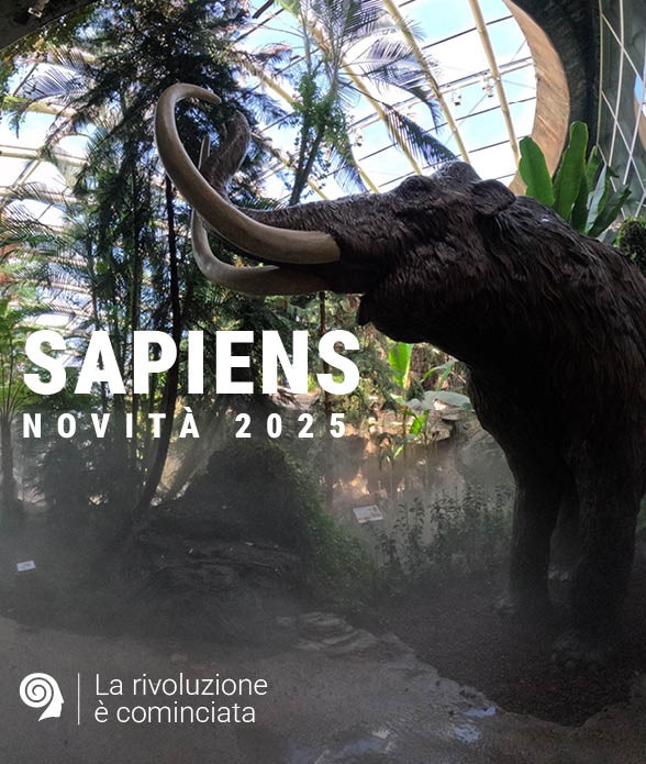 SAPIENS<br> 