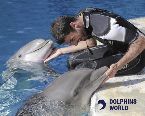 Addestratore per 1 giorno