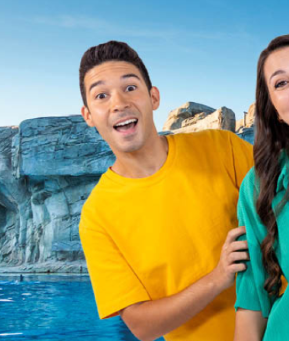 DinsiemE <br> MegaGameLand