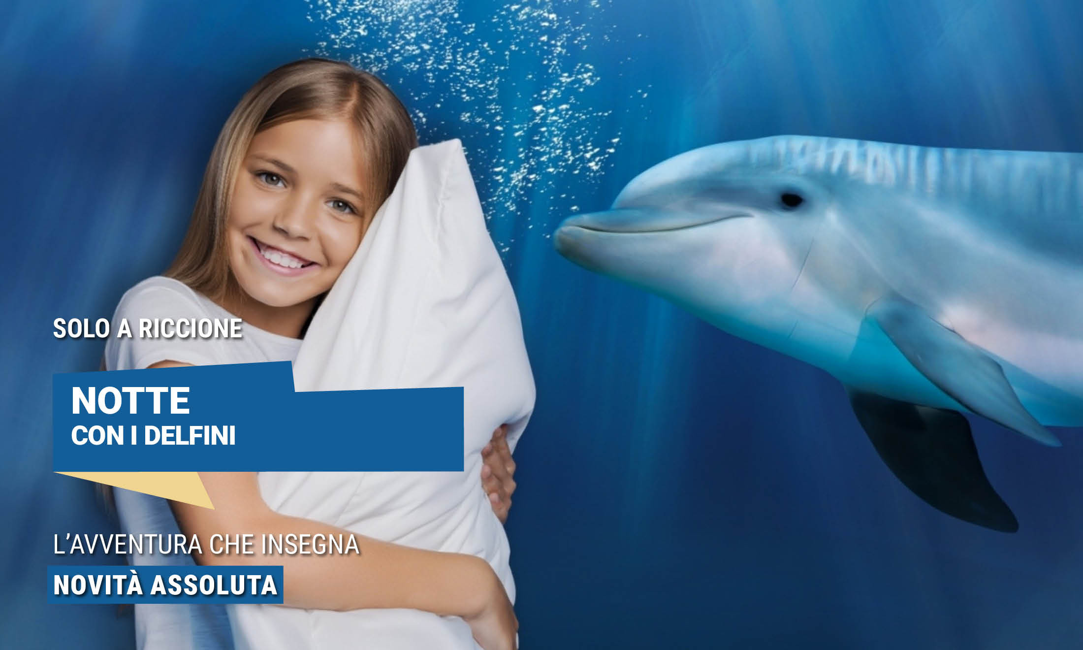 NOTTE CON I DELFINI