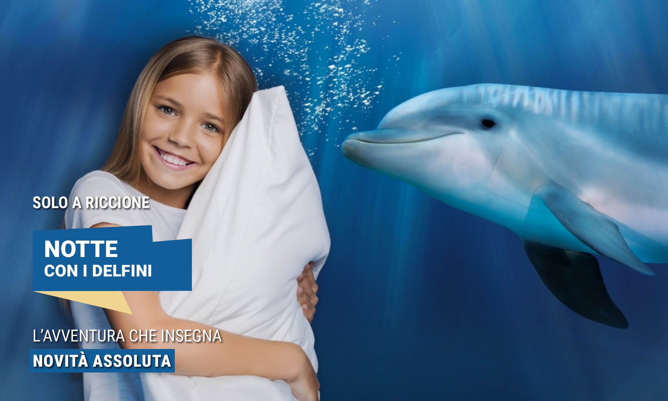 NOTTE CON I DELFINI