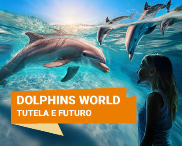 Impegno, Ricerca, Conservazione