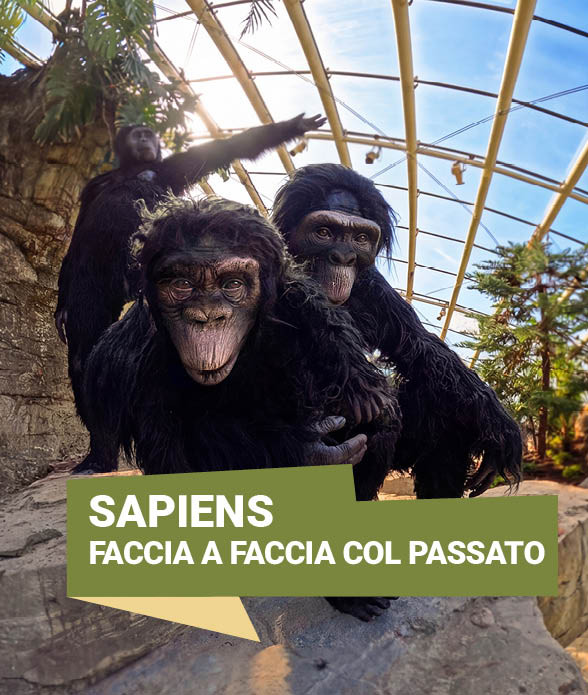 SAPIENS<br> 