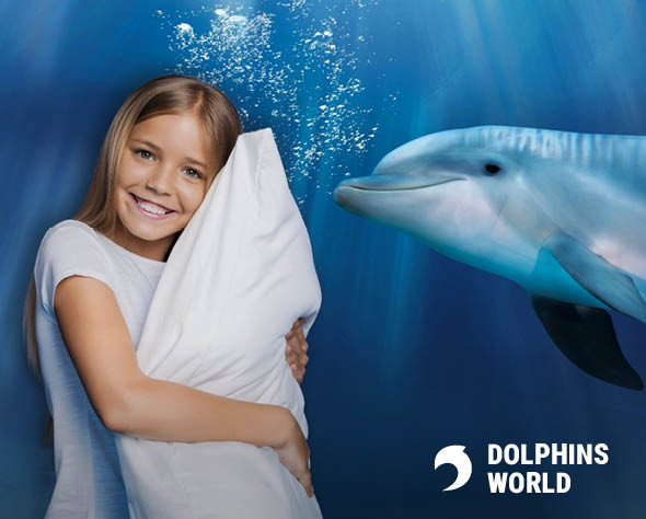 Notte con i Delfini 2026