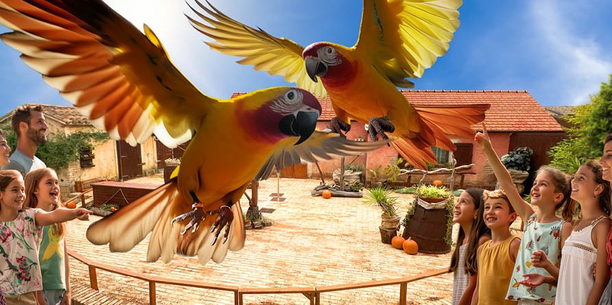 Parrots World