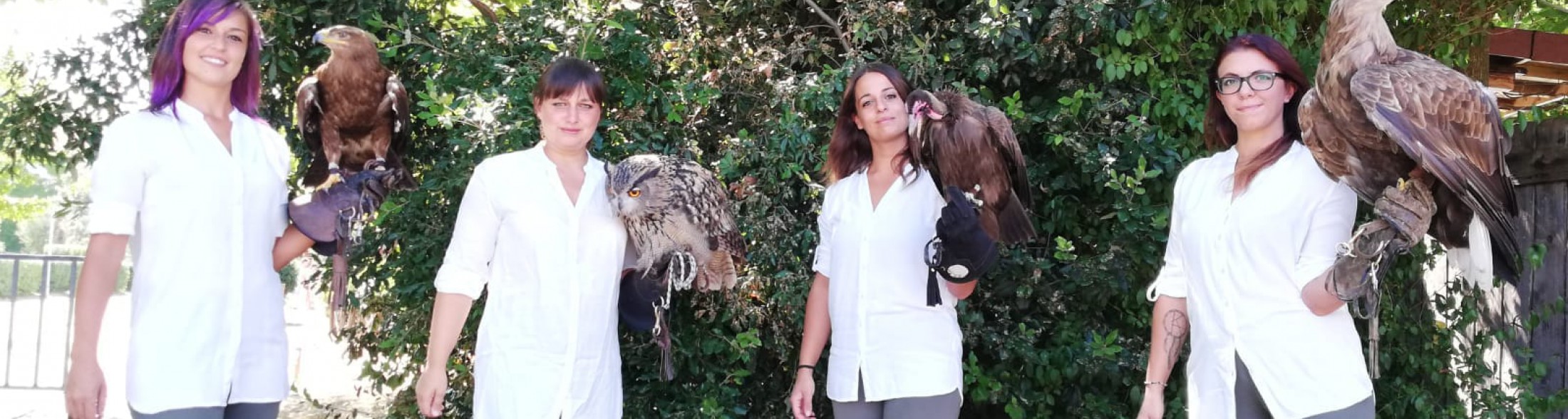 A Oltremare scopri tutti i segreti della Falconeria