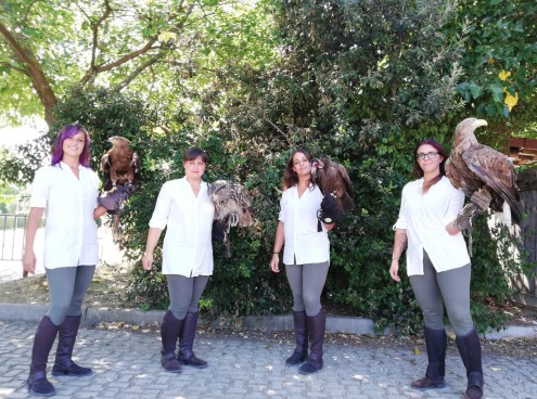 A Oltremare scopri tutti i segreti della Falconeria