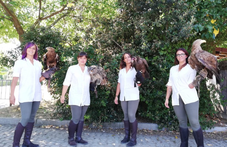 A Oltremare scopri tutti i segreti della Falconeria