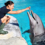 La delfina Pelé domenica compie gli anni!