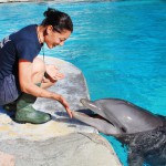 La delfina Pelé domenica compie gli anni!