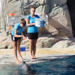 Tanti auguri Ulisse e Cleo!