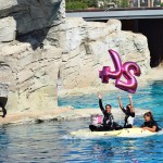 Tanti auguri Ulisse e Cleo!