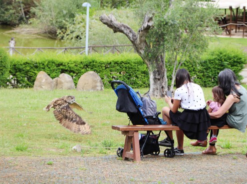 Oltremare riapre in sicurezza tra centinaia di famiglie arrivate da tutta Italia 