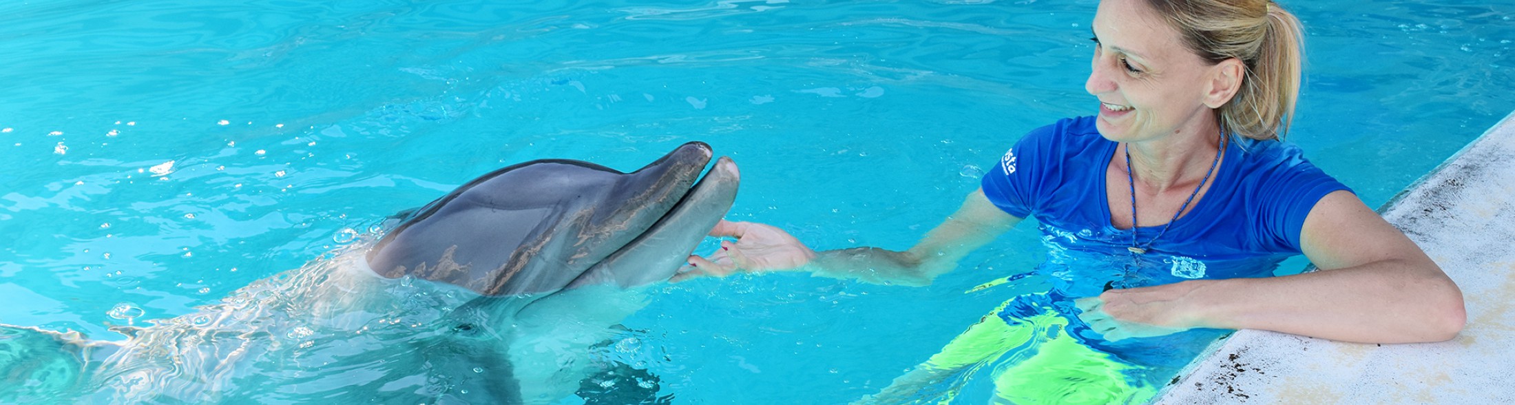 Auguri a Golia, ambasciatore 'green'