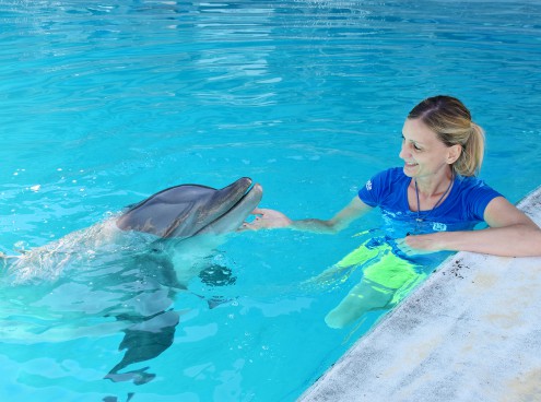 Auguri a Golia, ambasciatore 'green'