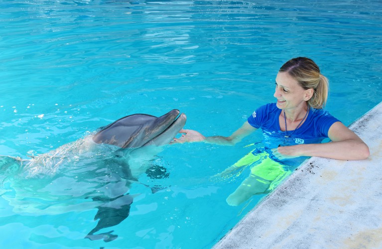 Auguri a Golia, ambasciatore 'green'