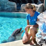 Auguri a Golia, ambasciatore 'green'