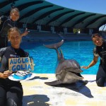 Auguri a Golia, ambasciatore 'green'