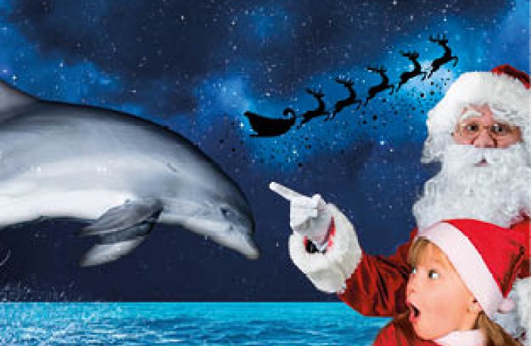 Immagini Di Babbo Natale E Le Renne.La Magia Delle Feste Con Ulisse E Le Renne Di Babbo Natale