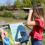 Giugno di promozioni e divertimento formato famiglia