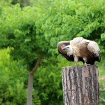 Riapriamo in sicurezza