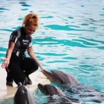 Riapriamo in sicurezza