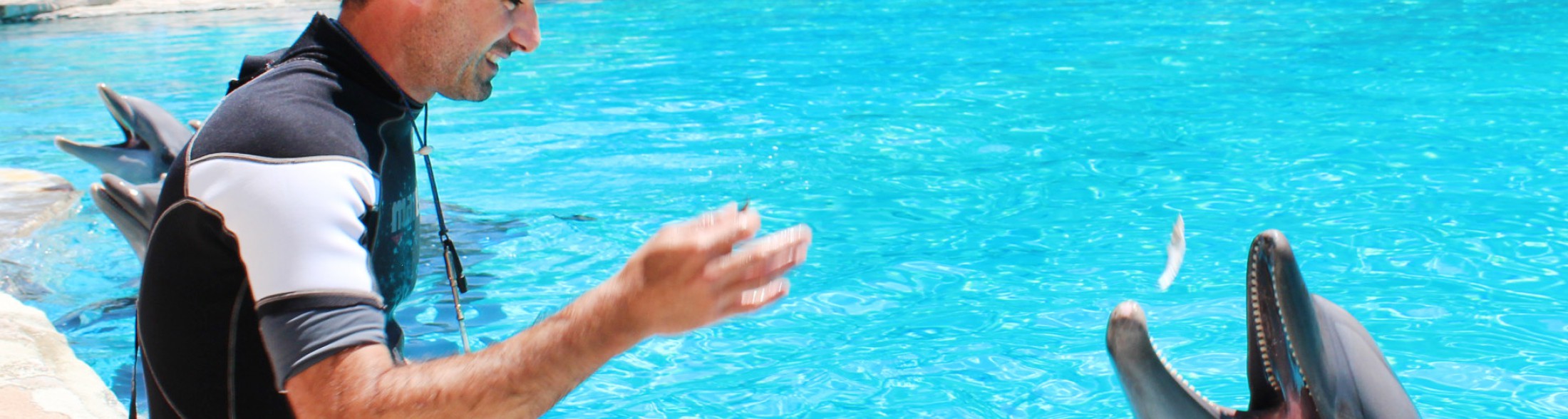 Buon compleanno Blue!