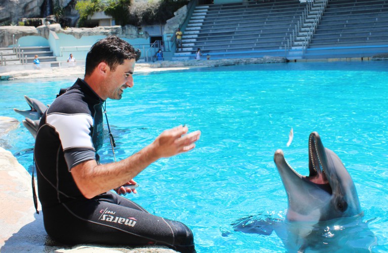 Buon compleanno Blue!