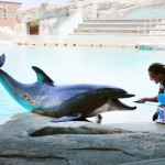 Buon compleanno Blue!