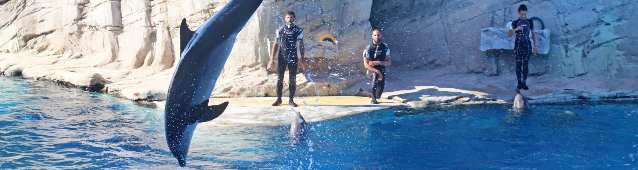 Laguna dei delfini torna aperta a Ottobre
