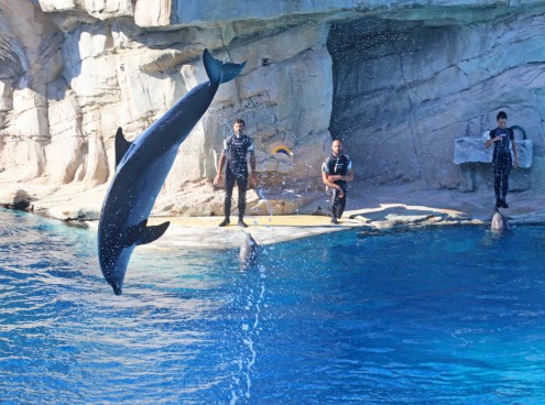 Laguna dei delfini torna aperta a Ottobre