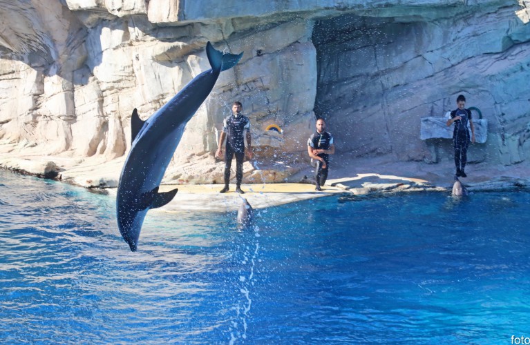 Laguna dei delfini torna aperta a Ottobre