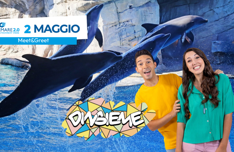 2 Maggio Incontra i DinsiemE!