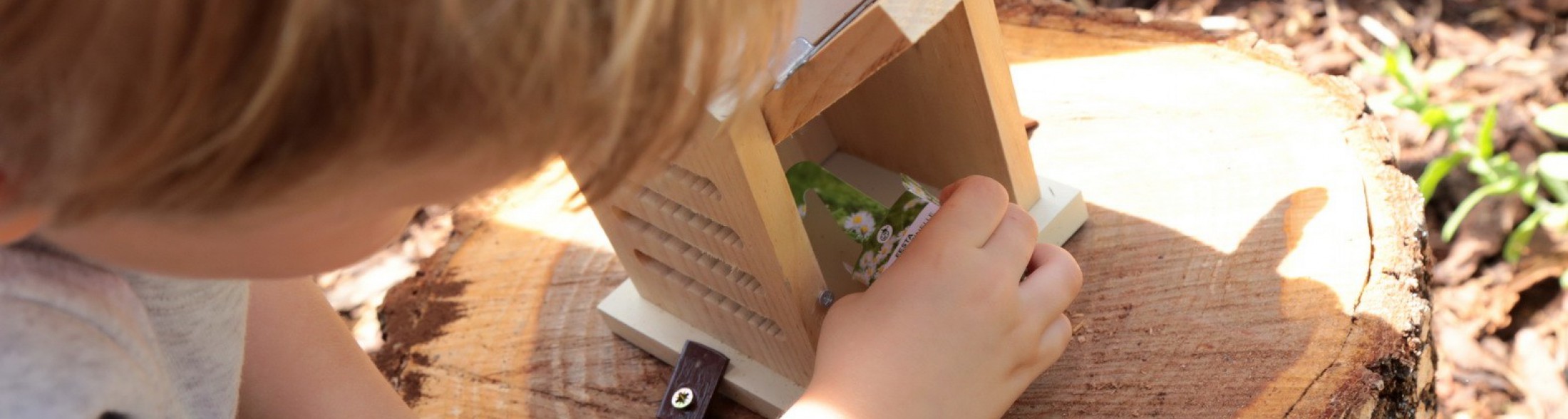 Coccinella House, la nuova area di Oltremare!