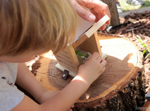 Coccinella House, la nuova area di Oltremare!