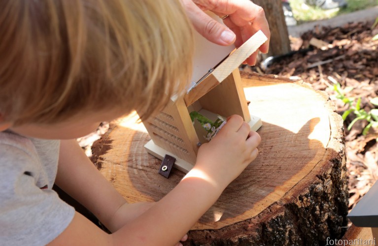Coccinella House, la nuova area di Oltremare!