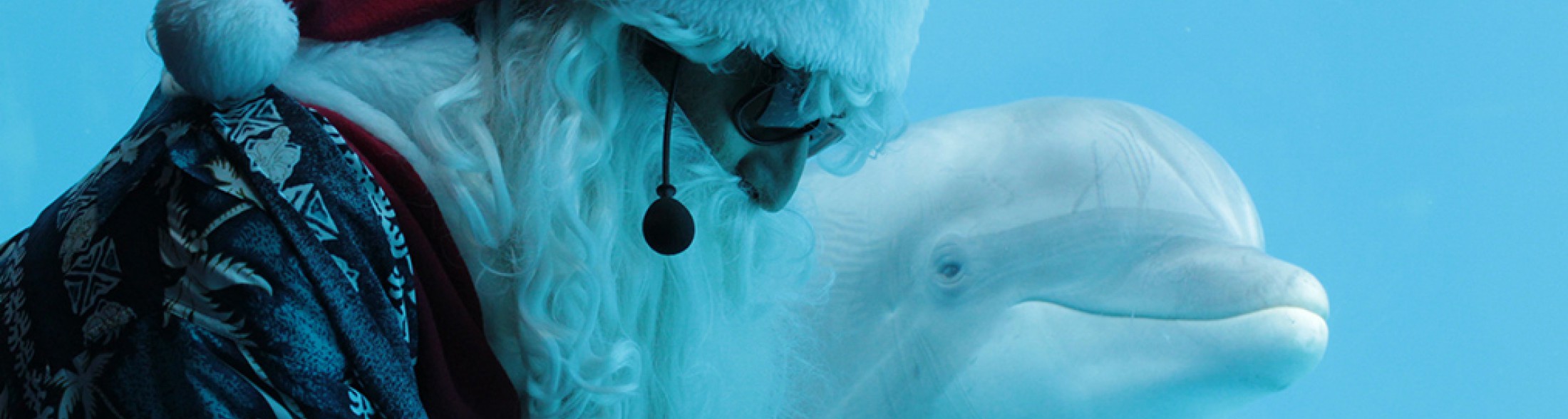 Natale nei parchi Costa