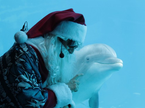 Natale nei parchi Costa