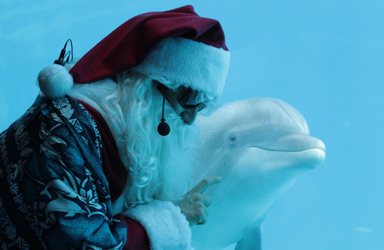 Natale nei parchi Costa