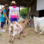 Che bel 1° Maggio a Oltremare!