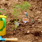 L'orto invaso da bimbi, frutta e verdura!