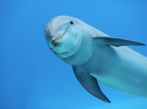 Oltremare riapre sabato 24 marzo!