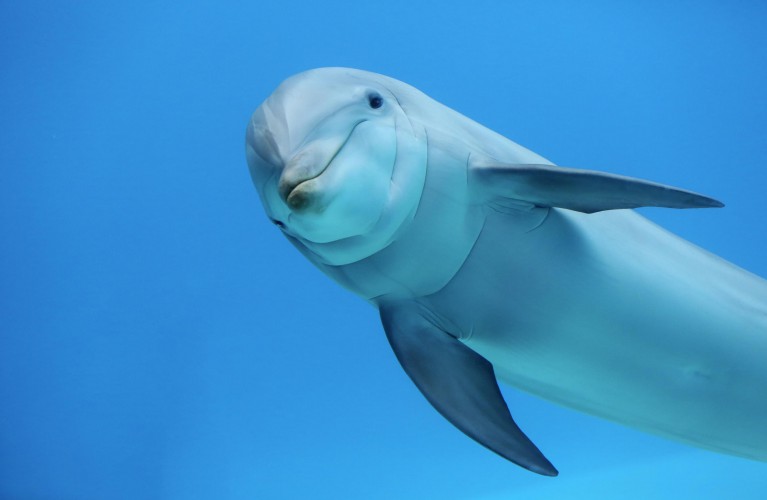 Oltremare riapre sabato 24 marzo!