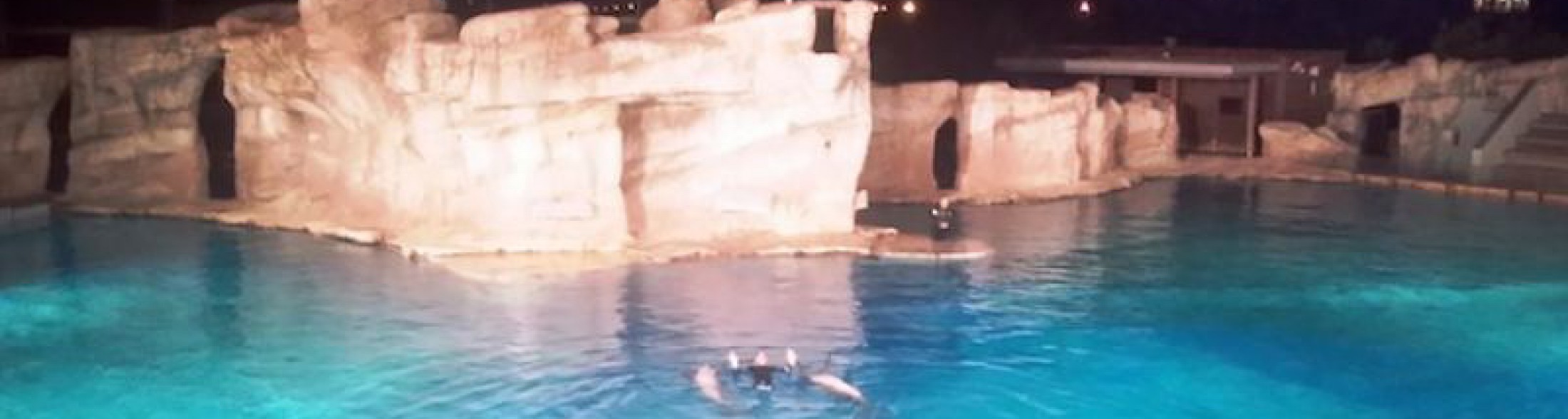 I parchi Costa Edutainment aderiscono a M'Illumino di meno