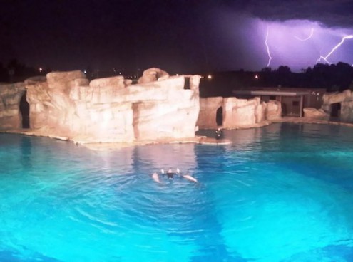 I parchi Costa Edutainment aderiscono a M'Illumino di meno