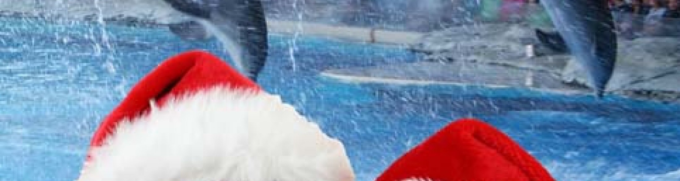 Ecco il programma delle Feste nei Parchi della Riviera