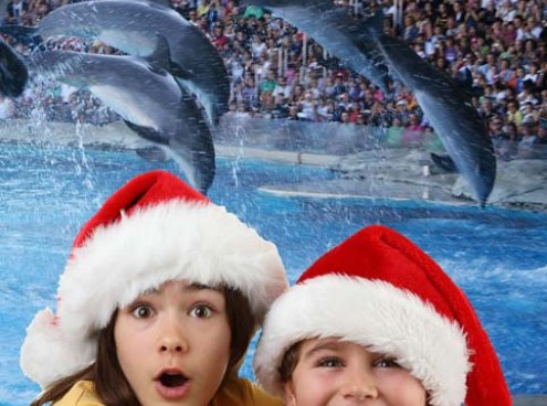 Ecco il programma delle Feste nei Parchi della Riviera