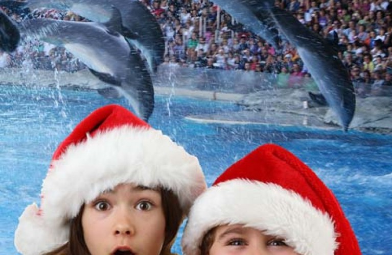 Ecco il programma delle Feste nei Parchi della Riviera