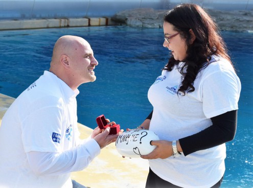 Il “sì” di Anna ad Angelo fra i delfini di Oltremare