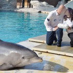 Il “sì” di Anna ad Angelo fra i delfini di Oltremare